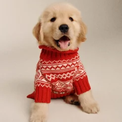 Limited-edition Fair Isle Rollneck™ sweater for dogs